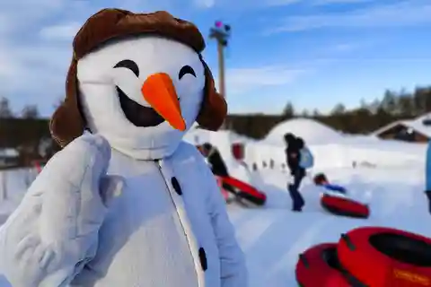 Entrébiljett till Snowman World