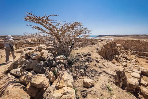 Salalah Historical Tour: Castles, Ancient Ruins & Heritage