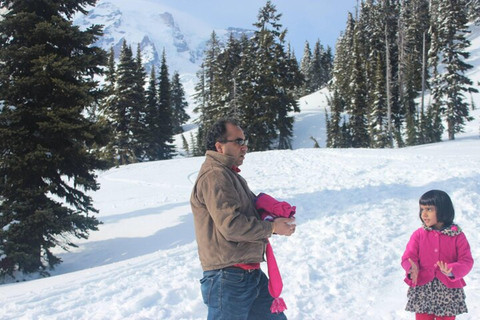 From Seattle: Mt Saint Helen Tour Private Tour