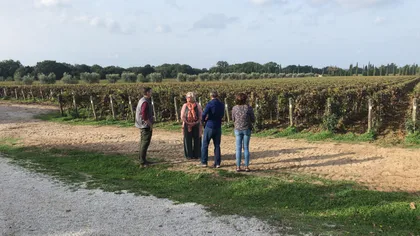 Exklusive Assisi- und Sagrantino di Montefalco-Weine
