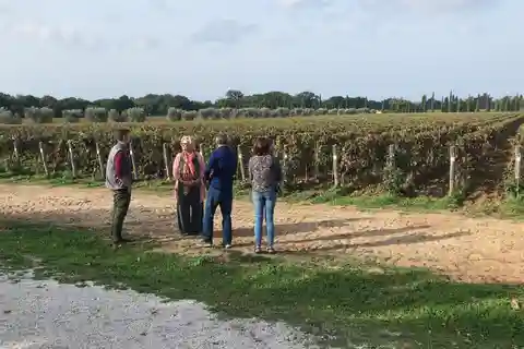 Vinhos exclusivos de Assis e Sagrantino di Montefalco