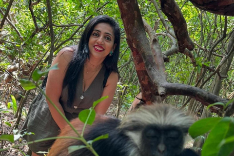 Wycieczka z delfinami Mnemba, las Jozani i restauracja The RockMiejsce zbiórki wyłącznie w Mnemba Transfer Point