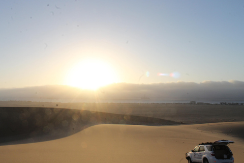 Swakopmund: Sandboarding and Lagoon Kayaking Combo Tour