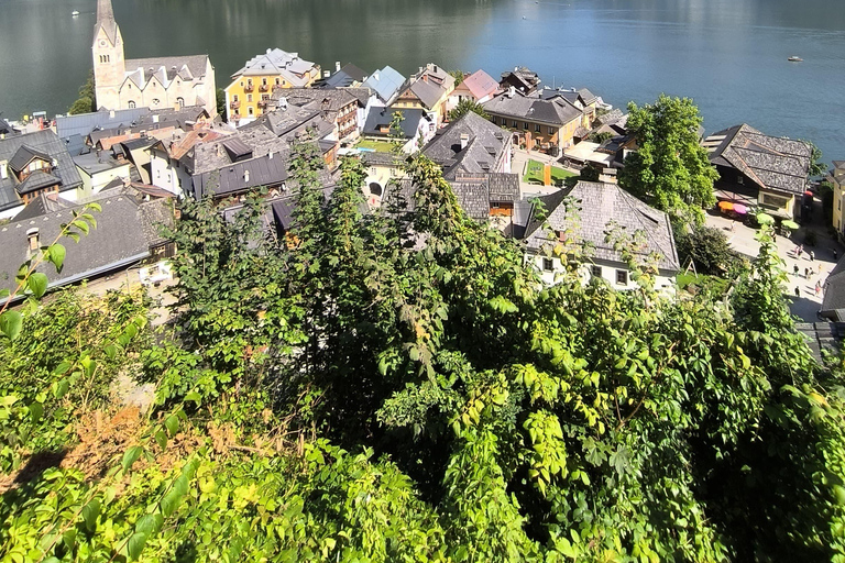 Tour di lusso in furgone: Salisburgo, Hallstatt e molto altro per il tuo gruppo