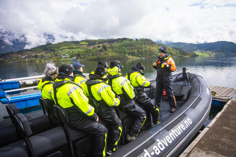 Avventura a Ulvik: Esplorare l&#039;Osafjord dell&#039;Hardangerfjord in gommoneUlvik: safari in RIB all&#039;Osafjord - un ramo dell&#039;Hardangerjord