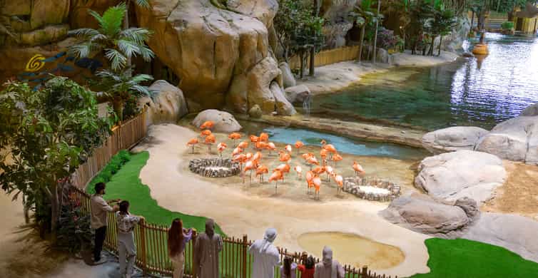 Abu Dhabi:SeaWorld Entry Ticket & Optional Experiences photo 10