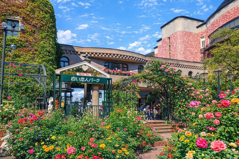 Sapporo: Otaru, Cape Kamui, and Blue Cave Summer Special 8;00 am meet at Odori Park subway station exit 31