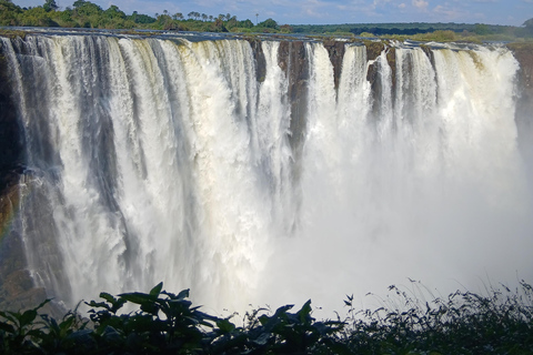 Victoria falls: Zimbabwe and Zambia guided tour old age
