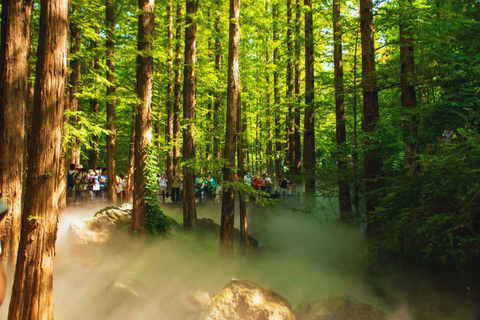 Beijing: Summer Palace Guided Tours & Top Park Combos Private Summer Palace & Old Summer Palace Park Walk Tour