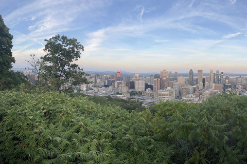 Montreal: Private 2-Hour Old Montreal & Mount Royal Tour