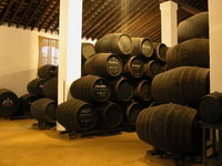 Jerez, Bodegas Álvaro Domecq Tour guidato con 4 degustazioni di vini - Hizvo