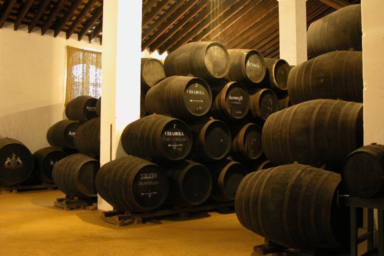 Jerez: Visita guiada a las Bodegas Álvaro Domecq con degustación de 4 vinos