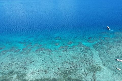 Fiji: Captain Cook Cruises - Day and Dinner Combo