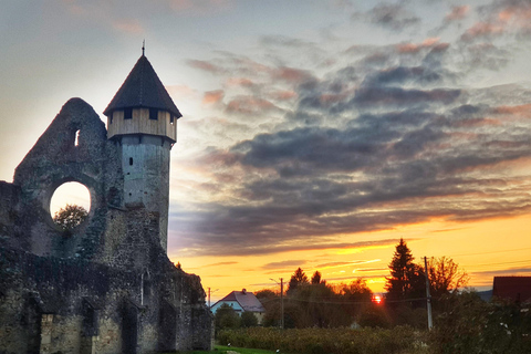 Vanuit Sibiu: Rondleiding vol verrassingen!