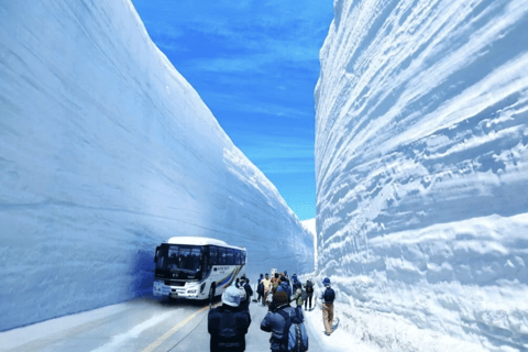 Japan Alps Spring Snow Escape: Tateyama Kurobe & Forest Walk