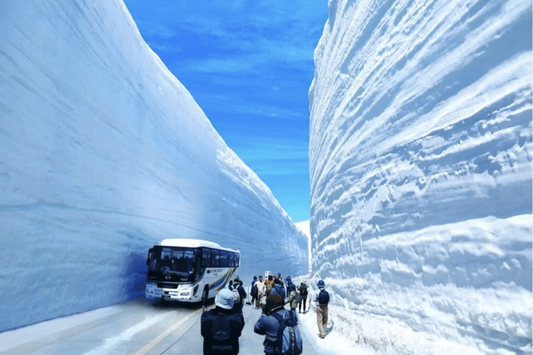 Japan Alps Spring Snow Escape: Tateyama Kurobe & Forest Walk