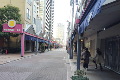 Descobre Tóquio: Ginza, Tsukiji e Tsukishima Comida e Cultura