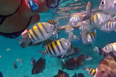 Scuba diving from Les Trois Ilets