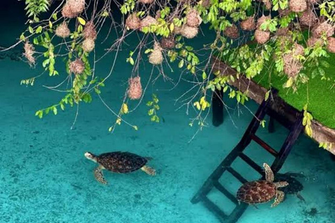 Zanzibar: Salaam Cave Turtles Tour & Swimming Experience Private Tour (With Hotel Pickup & Drop-off)