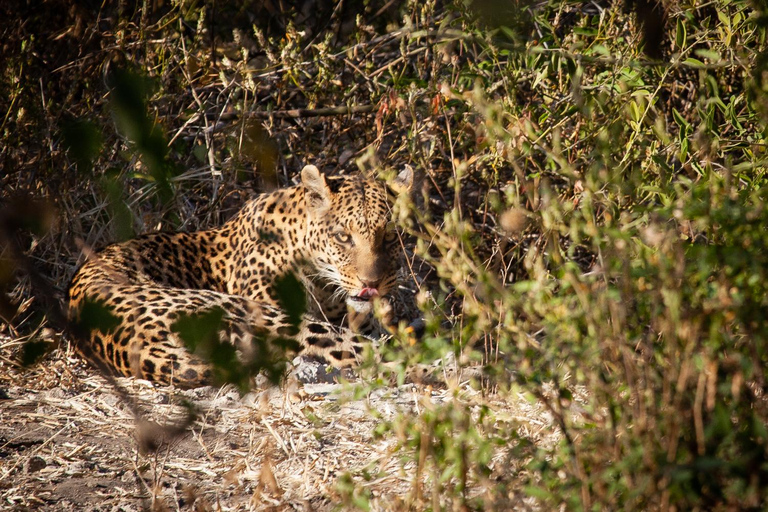 Chobe day trip from Victoria Falls