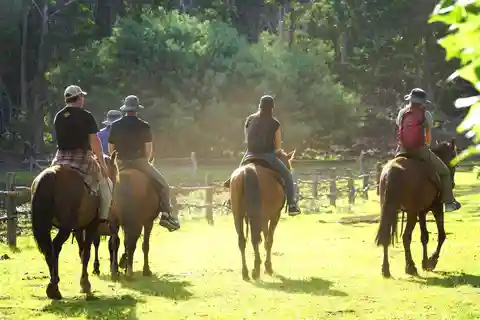 Monte Terevaka: Excursión matinal a caballo y plantación