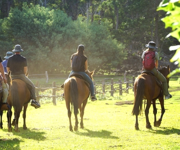 Monte Terevaka: Passeio a cavalo e plantação pela manhã