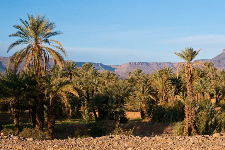 De Marrakech: 3 dias e 2 noites para o deserto do Saara MerzougaDe Marrakech: excursão de 3 dias ao deserto do Saara de Merzouga