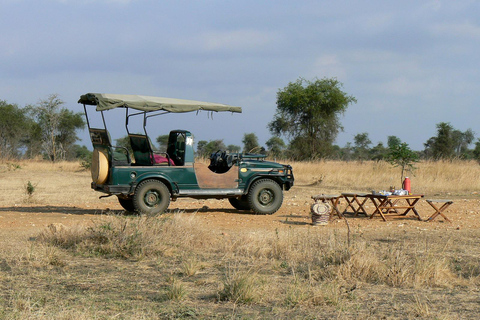 ZANZIBAR: Jozani Forest &amp; Prison Island Day Tour