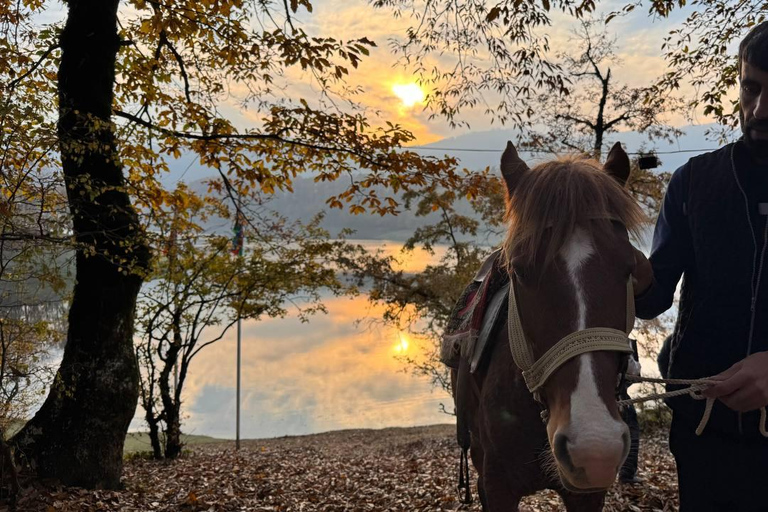 Longevity Secrets of Azerbaijan: Lankaran & Astara tour Private tour