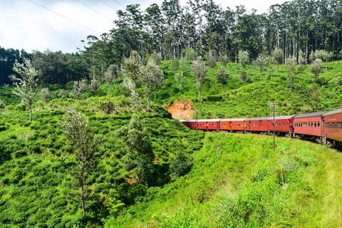 Colombo: Ella Panorama-Zugtour mit HoteltransfersFrom Colombo: Ella Scenic Train 3rd class reserved Tickets