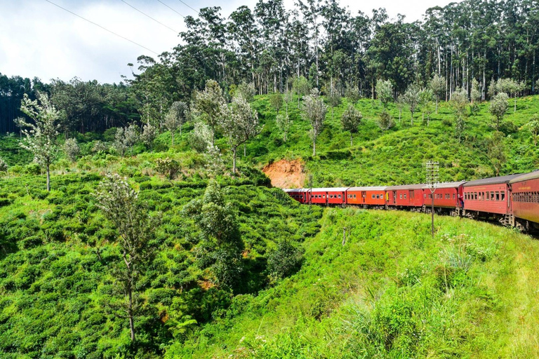Colombo: Ella Panorama-Zugtour mit HoteltransfersFrom Colombo: Ella Scenic Train 3rd class reserved Tickets