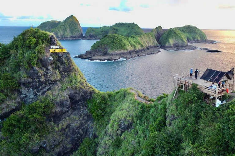 Banyuwangi:Day Tour of Jungle & Bedil Island With Snorkeling