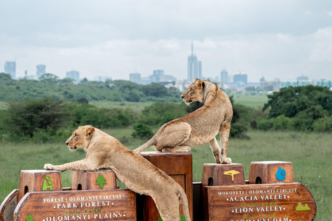 Nairobi: Nairobi National Park and Masai Collection Tour