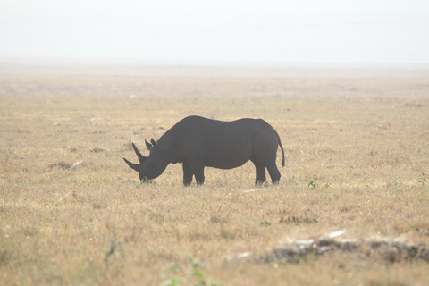 Cheap 2-night Serengeti Experience