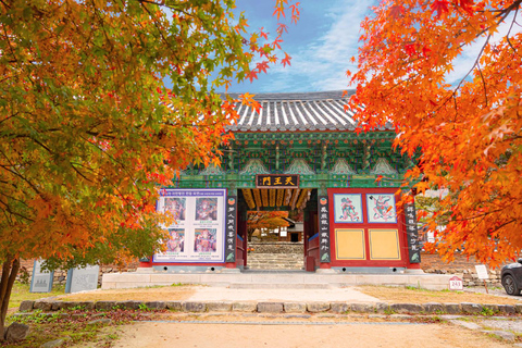 Naejangsan Autumn Foliage Day Tour from Seoul and Busan Group tour, departure from Haeundae Station Exit 5 (Busan)