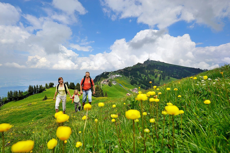 From Zürich: Day Trip to Rigi and Lake Lucerne From Zürich: Guided Day Trip to Rigi and Lake Lucerne