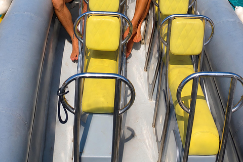 Can Picafort: Dolphin Watching Boat Tour with Swimming&caves Can Picafort: Dolphin Watching Boat Tour with Swimming stop