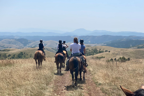 From Belgrade: 6-Day Šumadija Trail Horseback Riding Tour