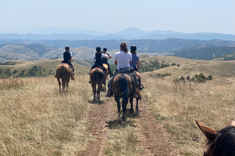 From Belgrade: 6-Day Šumadija Trail Horseback Riding Tour