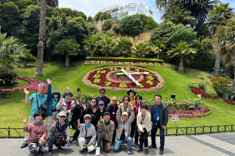 Valparaíso and Viña del Mar: a tour with art, culture, and beach from Santiago