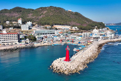 Small-Group Busan City Tour with Optional Sky Capsule Sky Capsule Excluded