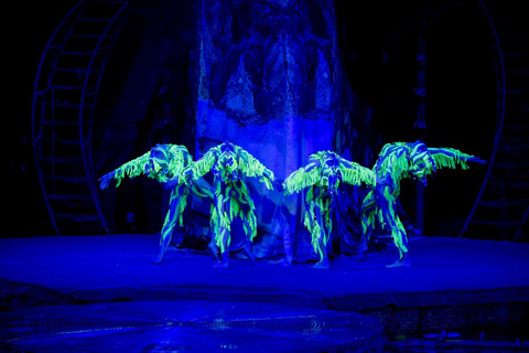 Phuket: Bilhete de entrada para o Aqua Circus com transferes opcionaisLugares de platina: Bilhete de entrada para o Phuket Aqua Circus