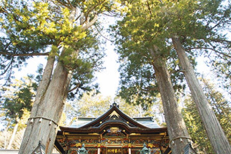 Tokyo: Nagatoro, Mitsumine Shrine & Waterfalls One-Day Tour