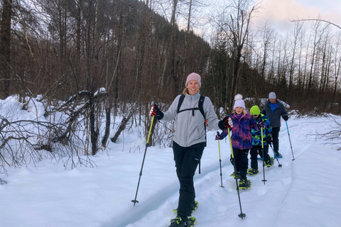 Guided Snowshoeing Adventure from Seward, Alaska 6-Hour Tour