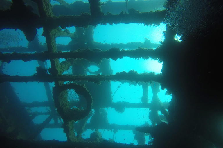 Hammamet: Guided Diving Experience with Hotel Transfer