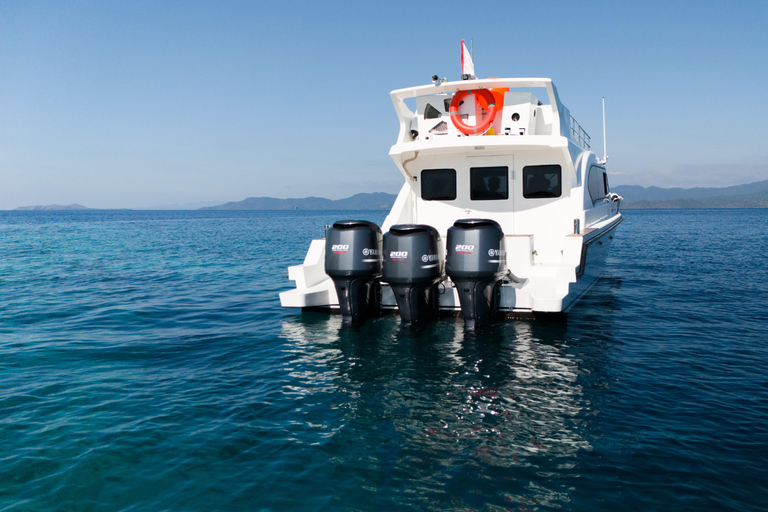 Labuan Bajo: Komodo National Park Adventure with Speedboat