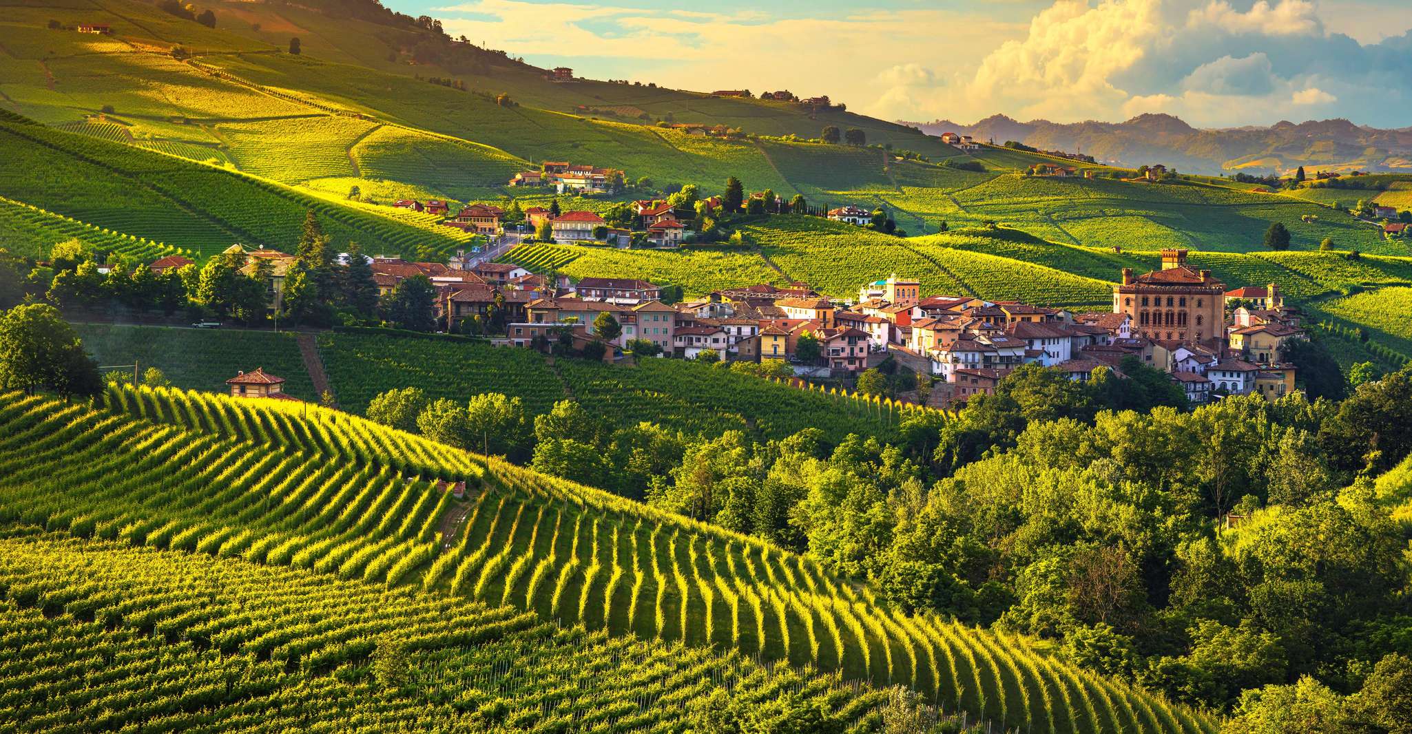 Barolo cave à vin Dégustation, ville d'Alba et château de l'Unesco - Hizvo