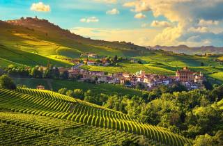 Von Mailand aus: Barolo Weinverkostung, Alba Tour und Schlossbesuch