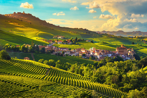 Au départ de Milan : Dégustation de vin Barolo, visite d&#039;Alba et visite du château