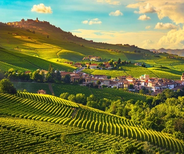 Vanuit Milaan: Barolo wijnproeverij, Alba tour en kasteelbezoek